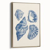 Coastal Wall Art: Blue Seashell Collection - Nautical Oceanic Decor