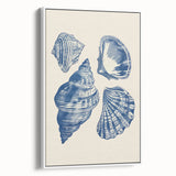 Coastal Wall Art: Blue Seashell Collection - Nautical Oceanic Decor