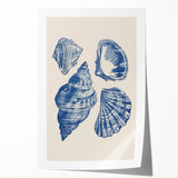 Coastal Wall Art: Blue Seashell Collection - Nautical Oceanic Decor