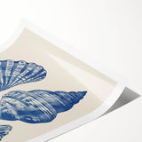 Coastal Wall Art: Blue Seashell Collection - Nautical Oceanic Decor