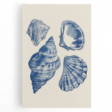 Coastal Wall Art: Blue Seashell Collection - Nautical Oceanic Decor