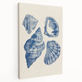 Coastal Wall Art: Blue Seashell Collection - Nautical Oceanic Decor
