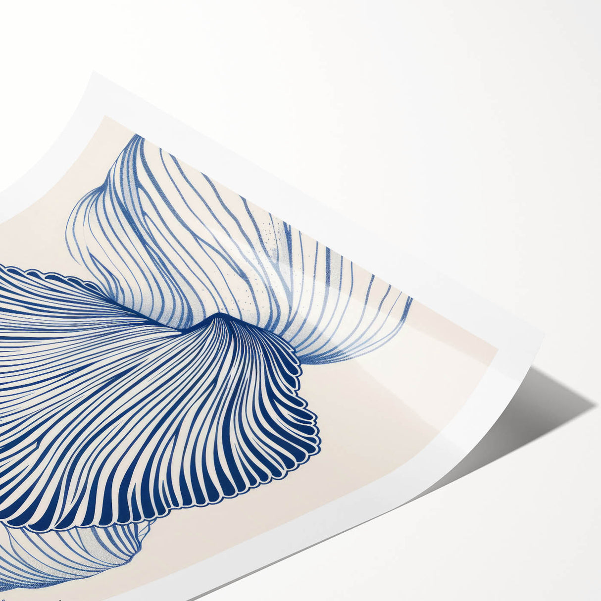 Oceanic Shells Abstract - Coastal Wall Art for Nautical Decor