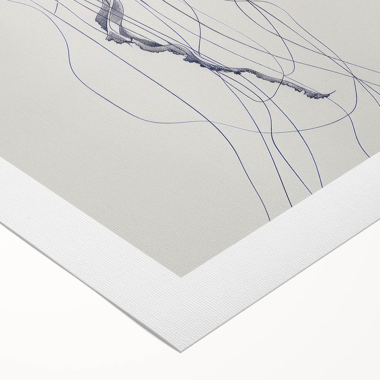 Intricate Jellyfish Coastal Wall Art - Nautical Ocean Decor Print