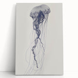 Intricate Jellyfish Coastal Wall Art - Nautical Ocean Decor Print
