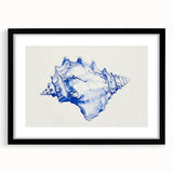 Seashell Coastal Wall Art – Nautical Beach-Themed Ocean Print