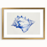 Seashell Coastal Wall Art – Nautical Beach-Themed Ocean Print