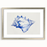 Seashell Coastal Wall Art – Nautical Beach-Themed Ocean Print