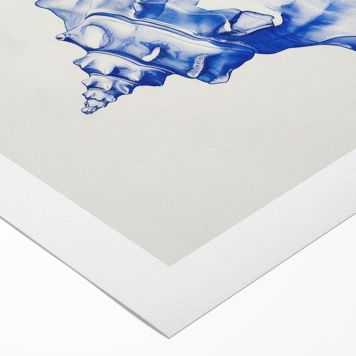 Seashell Coastal Wall Art – Nautical Beach-Themed Ocean Print