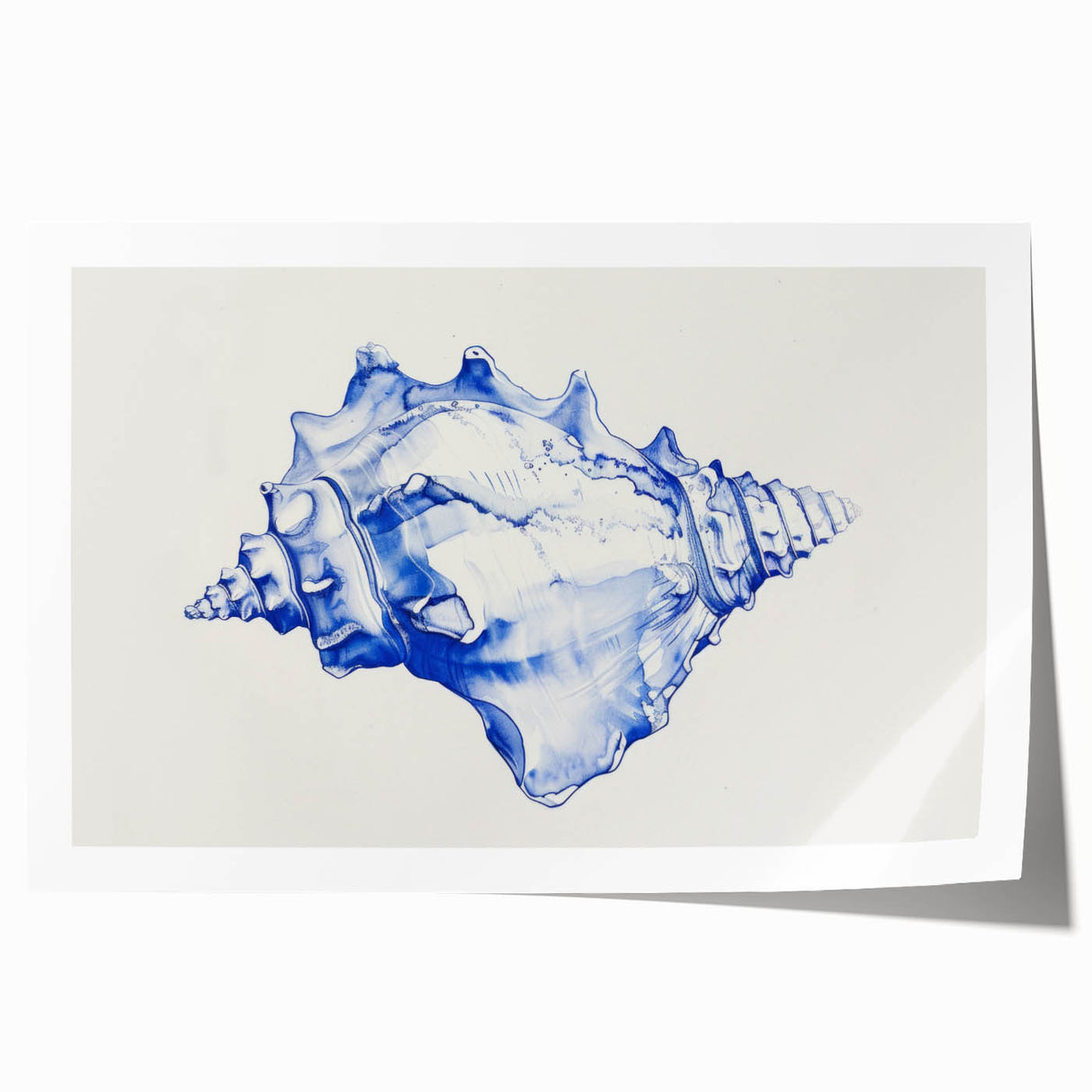 Seashell Coastal Wall Art – Nautical Beach-Themed Ocean Print