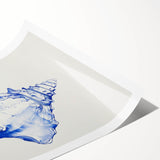 Seashell Coastal Wall Art – Nautical Beach-Themed Ocean Print