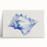 Seashell Coastal Wall Art – Nautical Beach-Themed Ocean Print