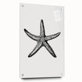 Black & White Starfish Coastal Wall Art - Nautical Decor Ocean Art Print
