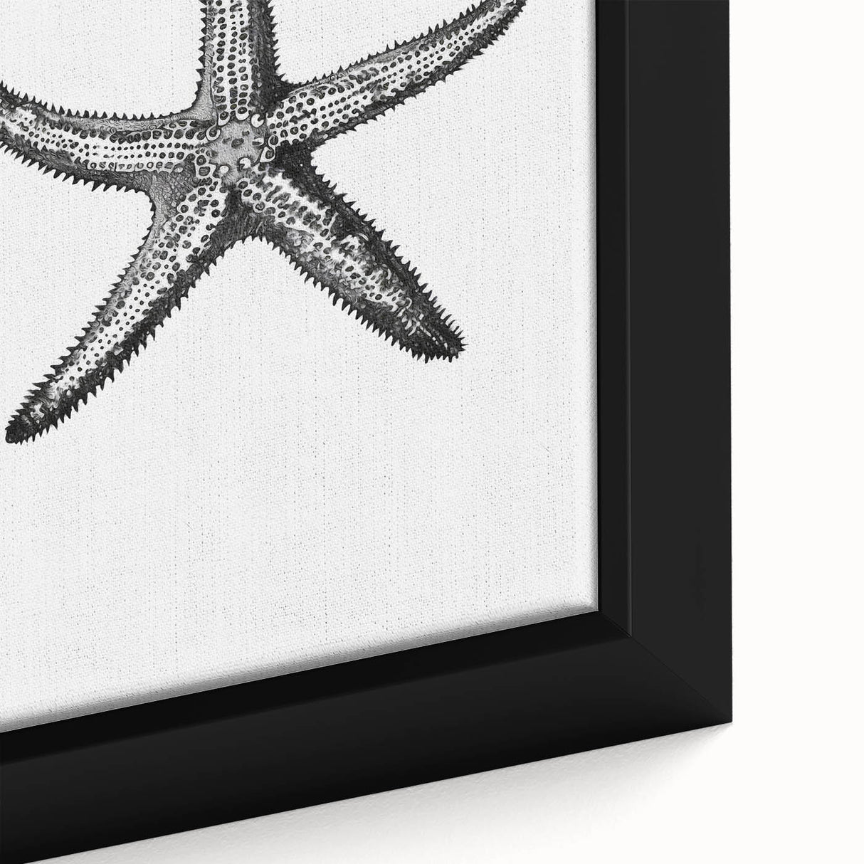 Black & White Starfish Coastal Wall Art - Nautical Decor Ocean Art Print