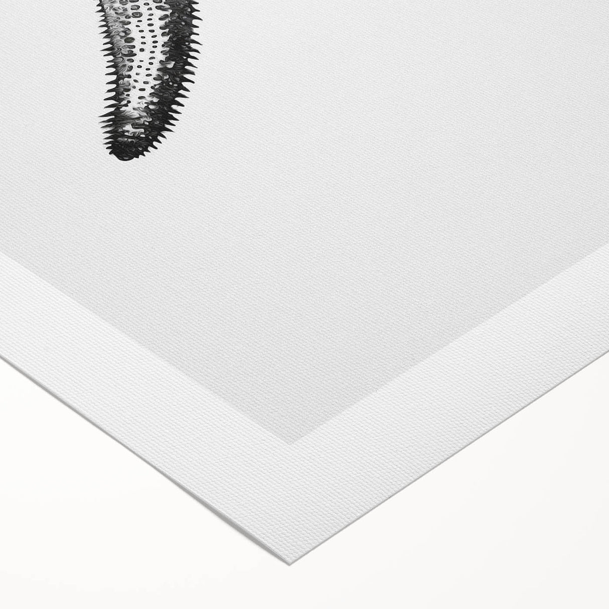 Black & White Starfish Coastal Wall Art - Nautical Decor Ocean Art Print