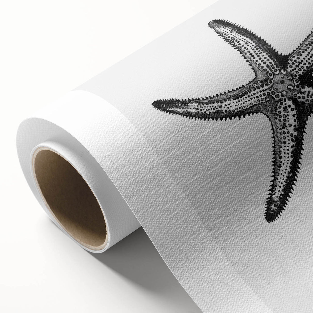 Black & White Starfish Coastal Wall Art - Nautical Decor Ocean Art Print