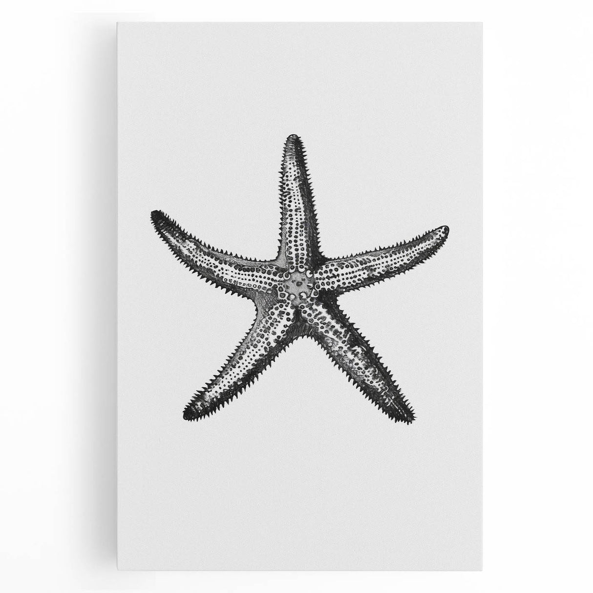 Black & White Starfish Coastal Wall Art - Nautical Decor Ocean Art Print
