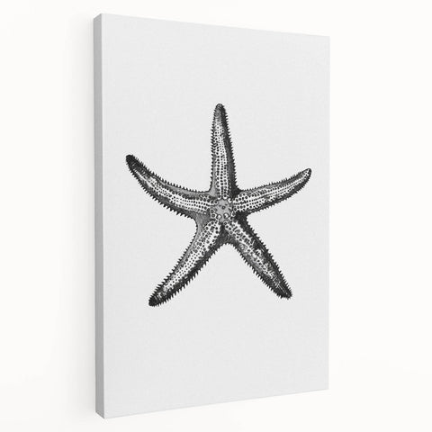 Black & White Starfish Coastal Wall Art - Nautical Decor Ocean Art Print