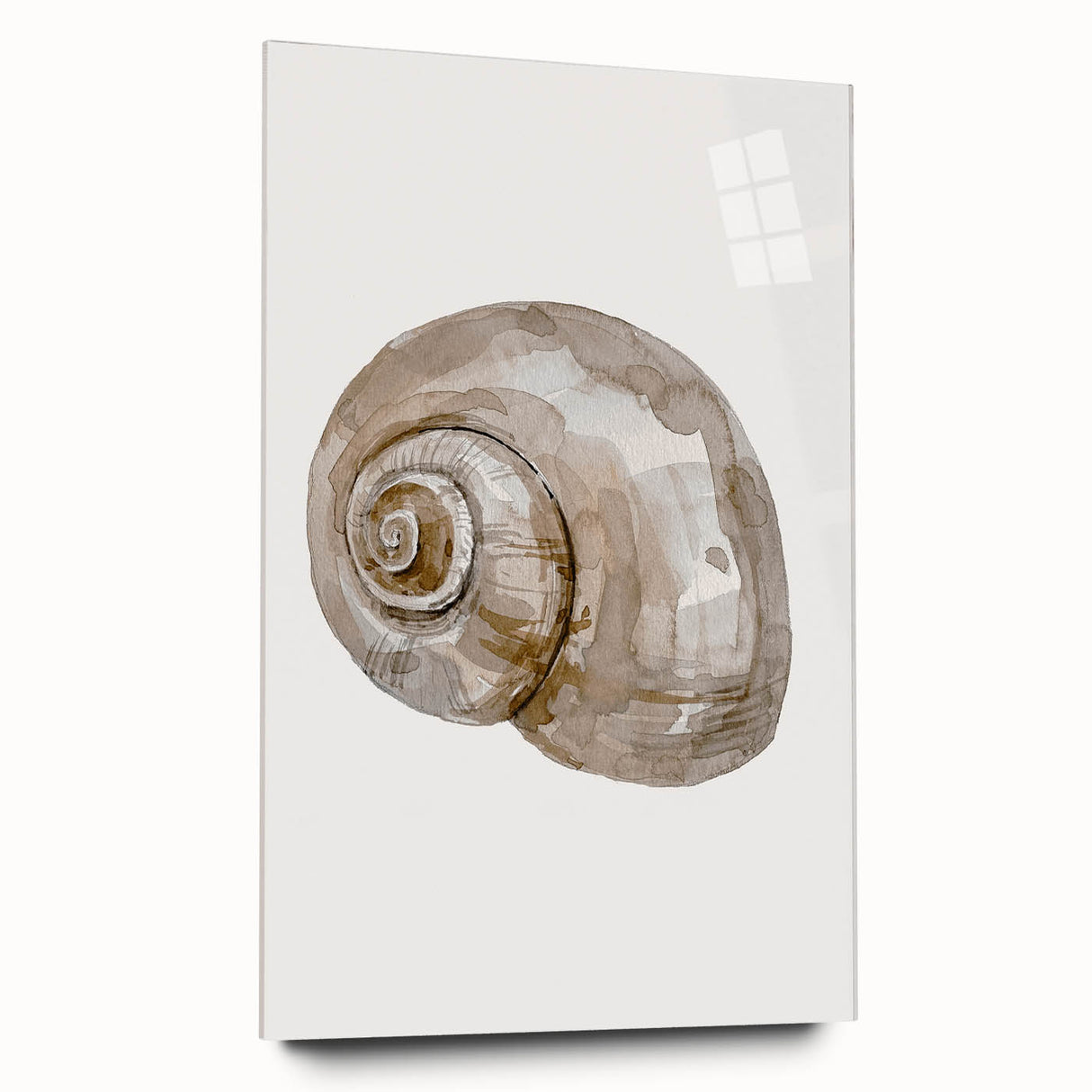 Coastal Wall Art - Nautical Snail Shell Print for Beach-Themed Decor