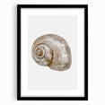 Coastal Wall Art - Nautical Snail Shell Print for Beach-Themed Decor