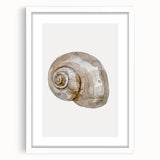 Coastal Wall Art - Nautical Snail Shell Print for Beach-Themed Decor
