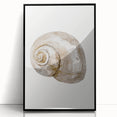 Coastal Wall Art - Nautical Snail Shell Print for Beach-Themed Decor