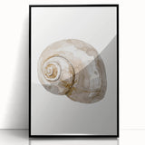 Coastal Wall Art - Nautical Snail Shell Print for Beach-Themed Decor
