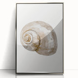Coastal Wall Art - Nautical Snail Shell Print for Beach-Themed Decor