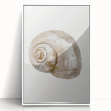 Coastal Wall Art - Nautical Snail Shell Print for Beach-Themed Decor
