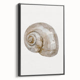 Coastal Wall Art - Nautical Snail Shell Print for Beach-Themed Decor