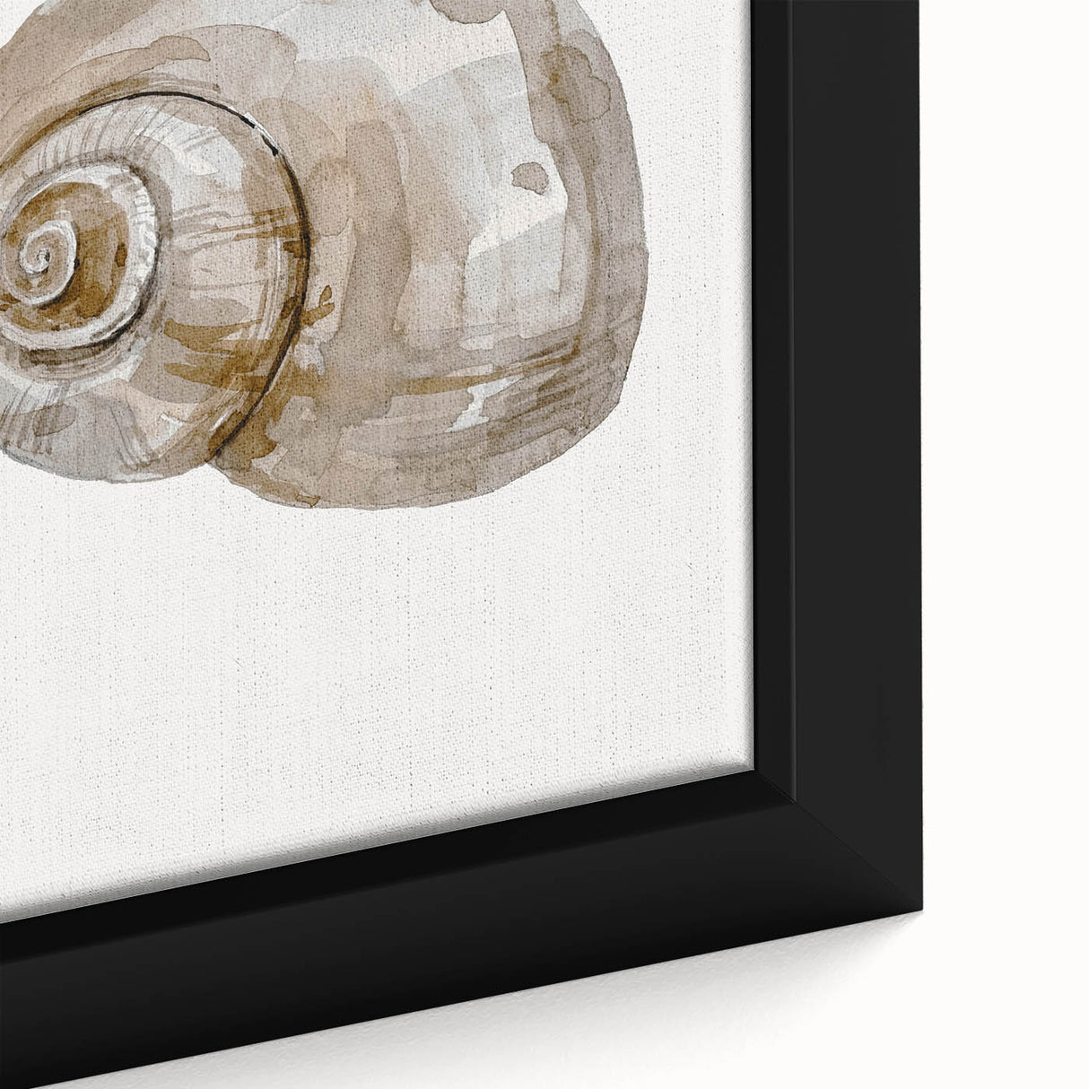 Coastal Wall Art - Nautical Snail Shell Print for Beach-Themed Decor