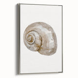 Coastal Wall Art - Nautical Snail Shell Print for Beach-Themed Decor