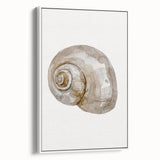 Coastal Wall Art - Nautical Snail Shell Print for Beach-Themed Decor