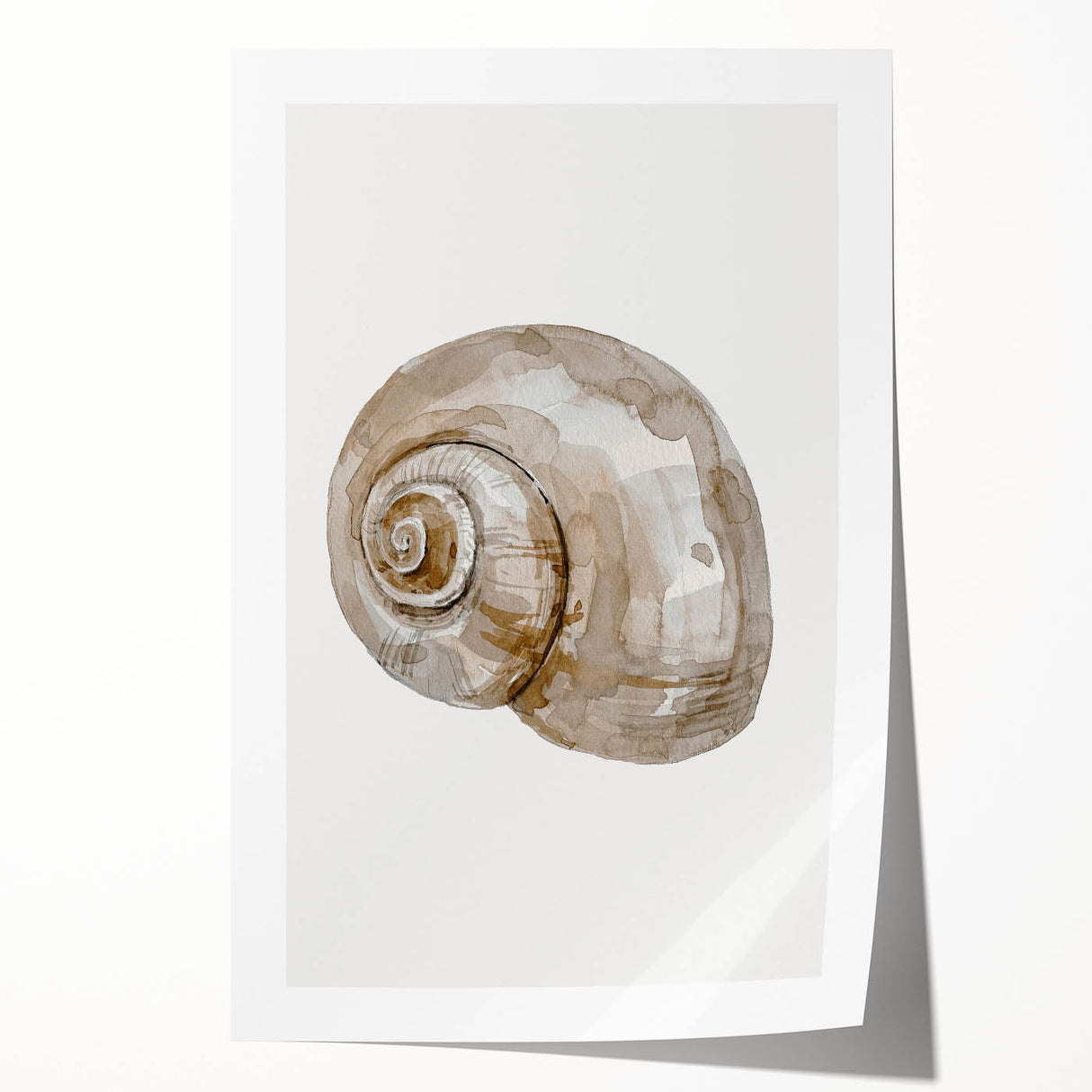 Coastal Wall Art - Nautical Snail Shell Print for Beach-Themed Decor
