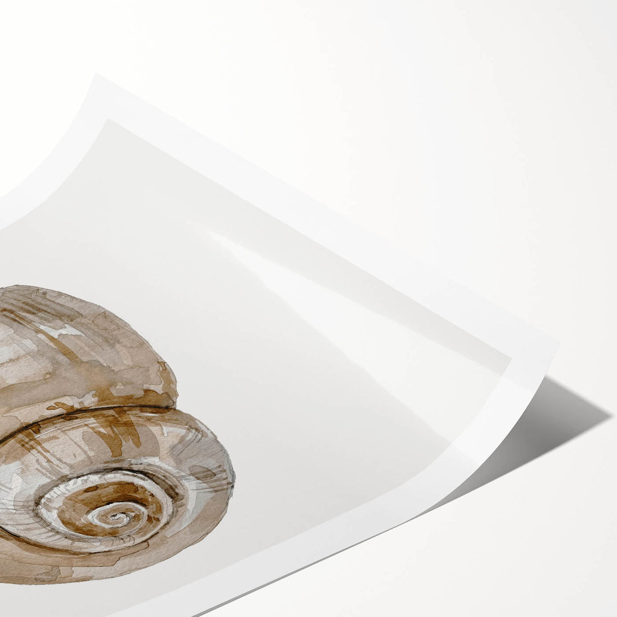 Coastal Wall Art - Nautical Snail Shell Print for Beach-Themed Decor