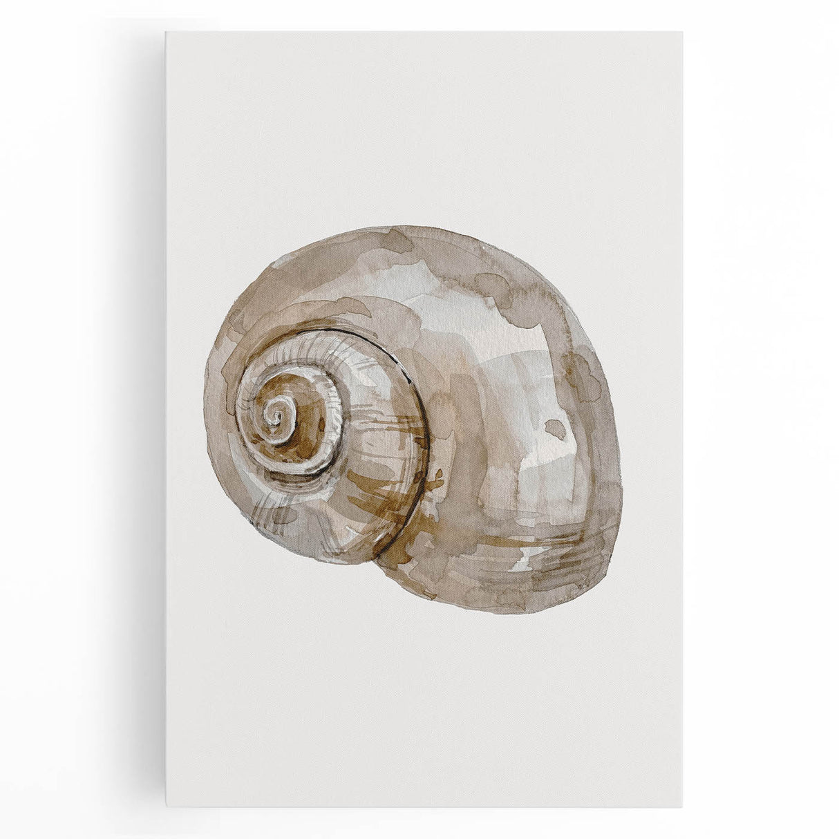 Coastal Wall Art - Nautical Snail Shell Print for Beach-Themed Decor