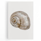 Coastal Wall Art - Nautical Snail Shell Print for Beach-Themed Decor