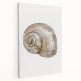 Coastal Wall Art - Nautical Snail Shell Print for Beach-Themed Decor