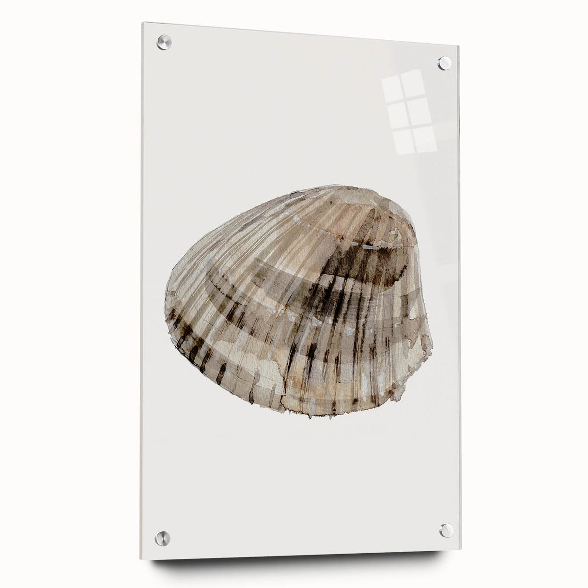 Coastal Wall Art - Nautical Seashell Print for Beach-Themed Decor