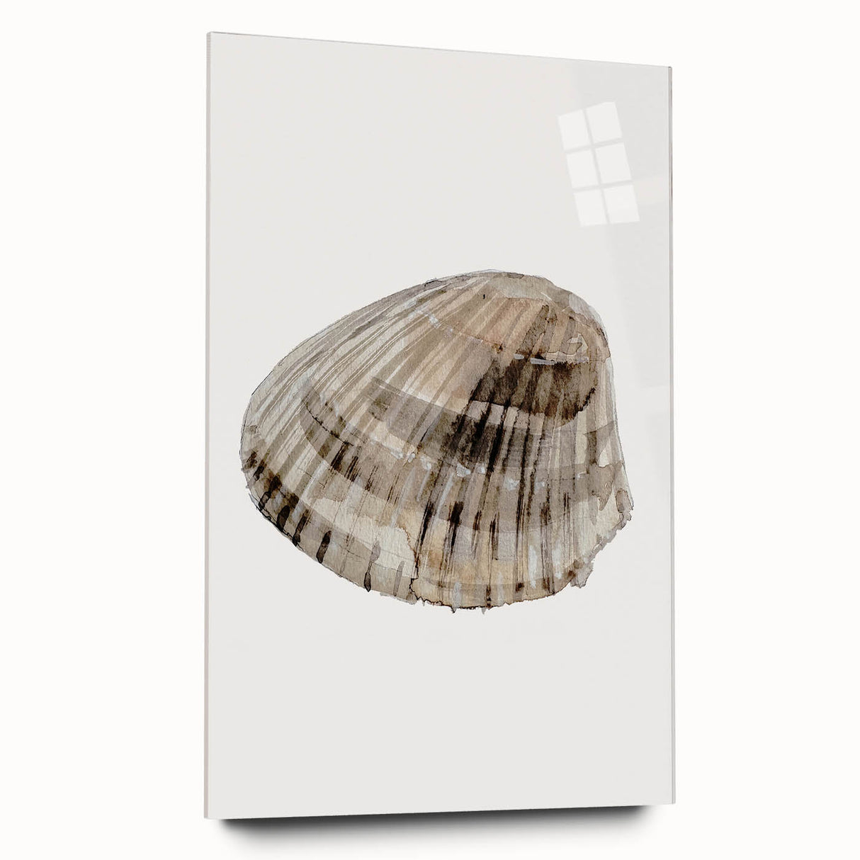 Coastal Wall Art - Nautical Seashell Print for Beach-Themed Decor