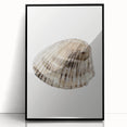 Coastal Wall Art - Nautical Seashell Print for Beach-Themed Decor