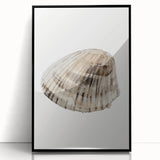 Coastal Wall Art - Nautical Seashell Print for Beach-Themed Decor