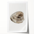 Coastal Wall Art - Nautical Seashell Print for Beach-Themed Decor