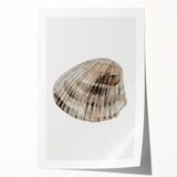 Coastal Wall Art - Nautical Seashell Print for Beach-Themed Decor