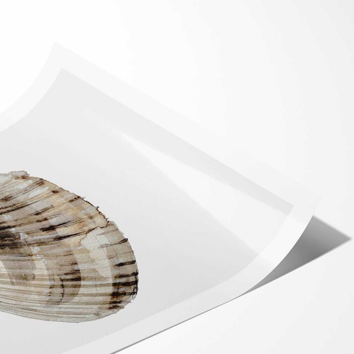 Coastal Wall Art - Nautical Seashell Print for Beach-Themed Decor