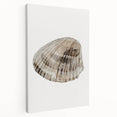 Coastal Wall Art - Nautical Seashell Print for Beach-Themed Decor