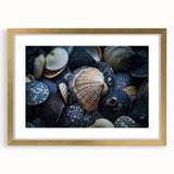 Seashell Close-Up Coastal Wall Art – Ocean-Themed Nature Print