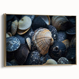 Seashell Close-Up Coastal Wall Art – Ocean-Themed Nature Print