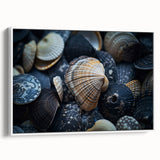 Seashell Close-Up Coastal Wall Art – Ocean-Themed Nature Print