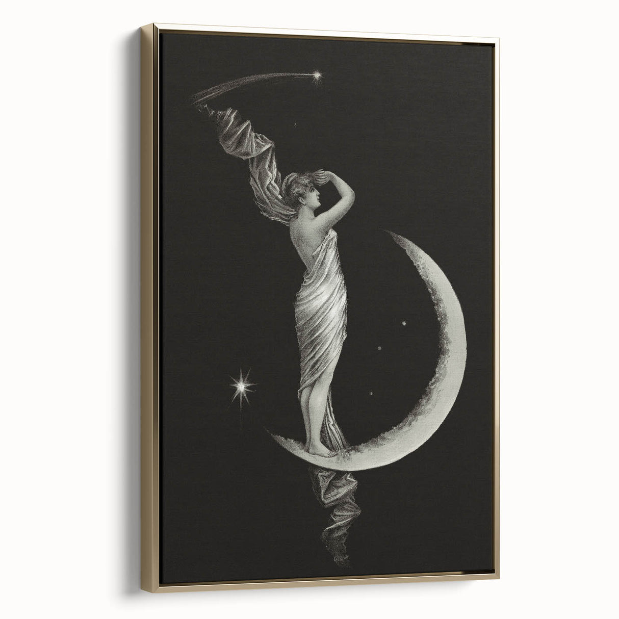 Dark Academia Wall Art | Vintage Gothic Moon Lady | Shadowy Art Piece
